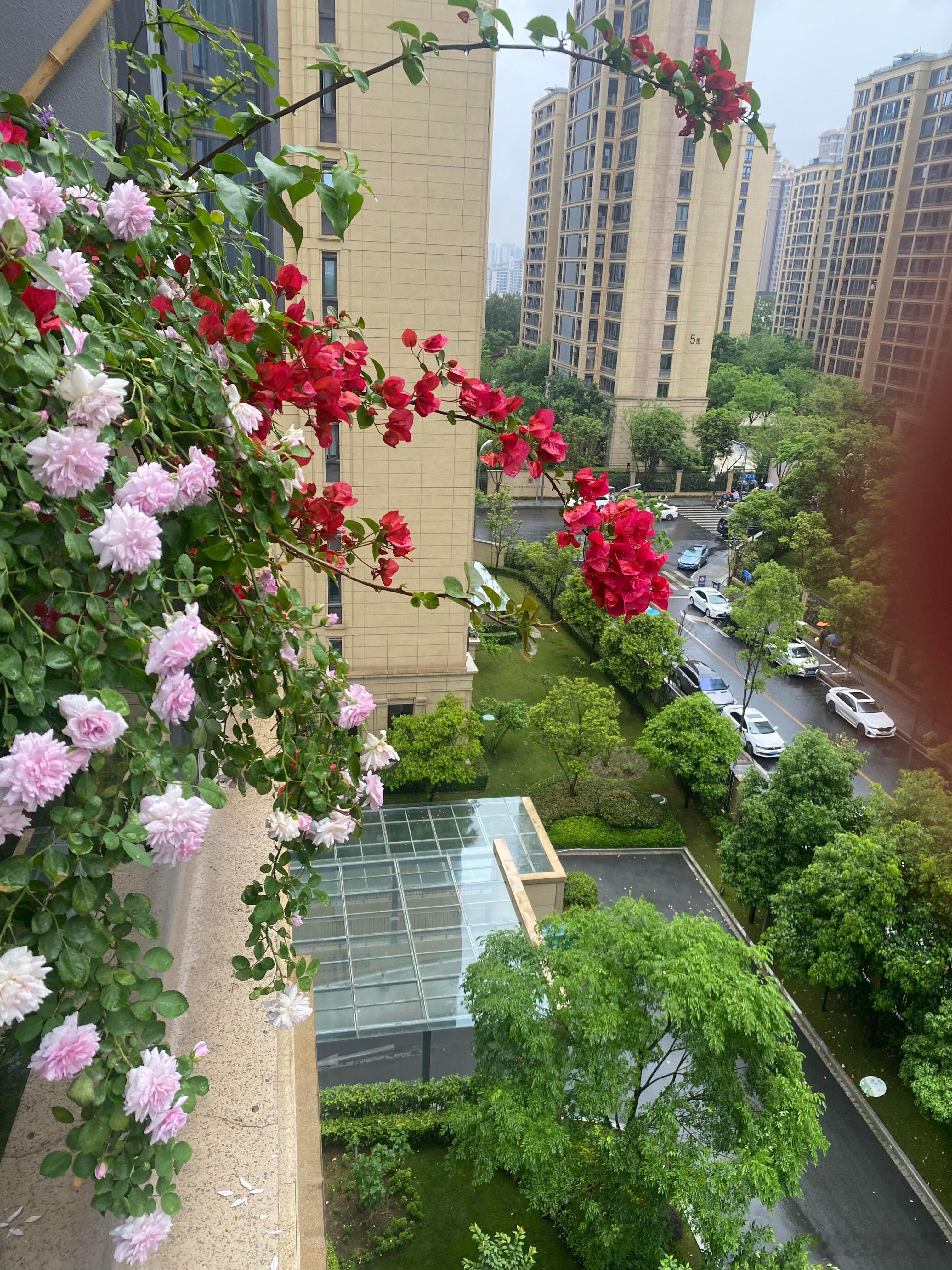 雨后的阳台~窗外小雨淅沥 ​​​