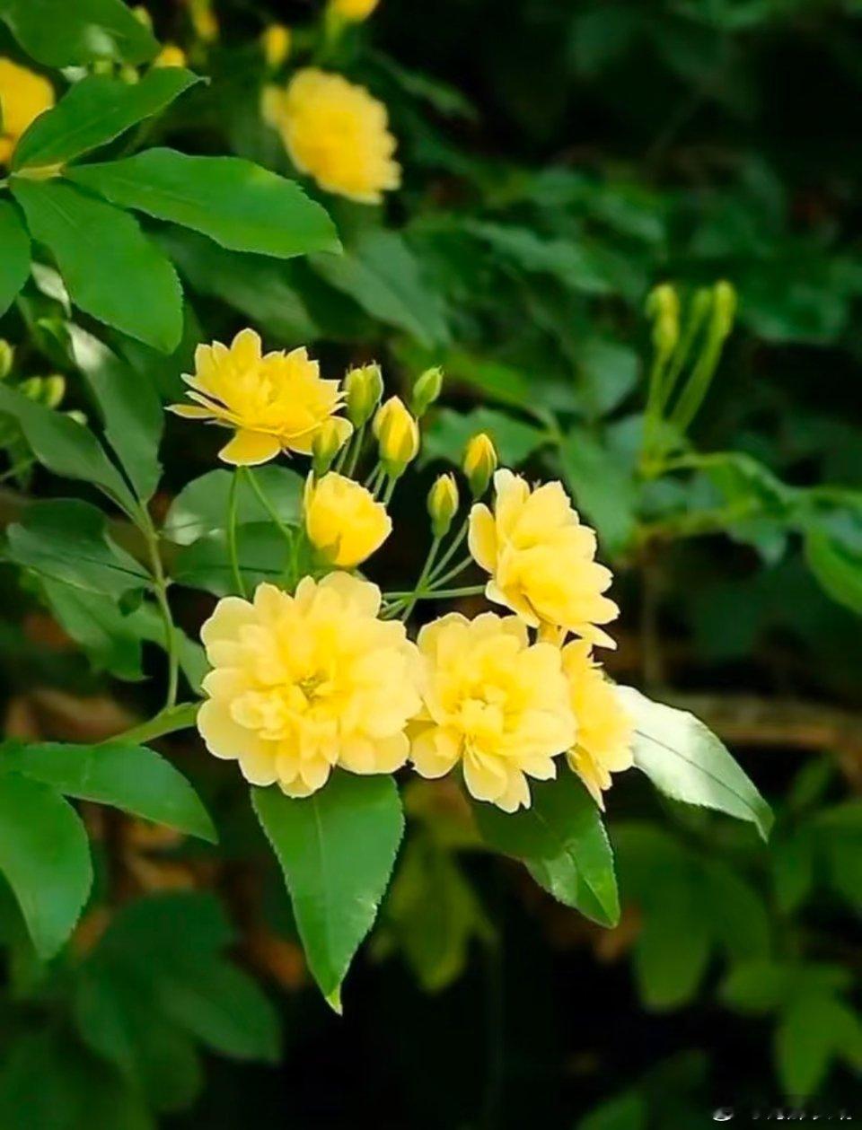 你的善良里，藏着你的福气，你的温柔中，藏着你的运气。生活，恰似一场漫长的旅程，有