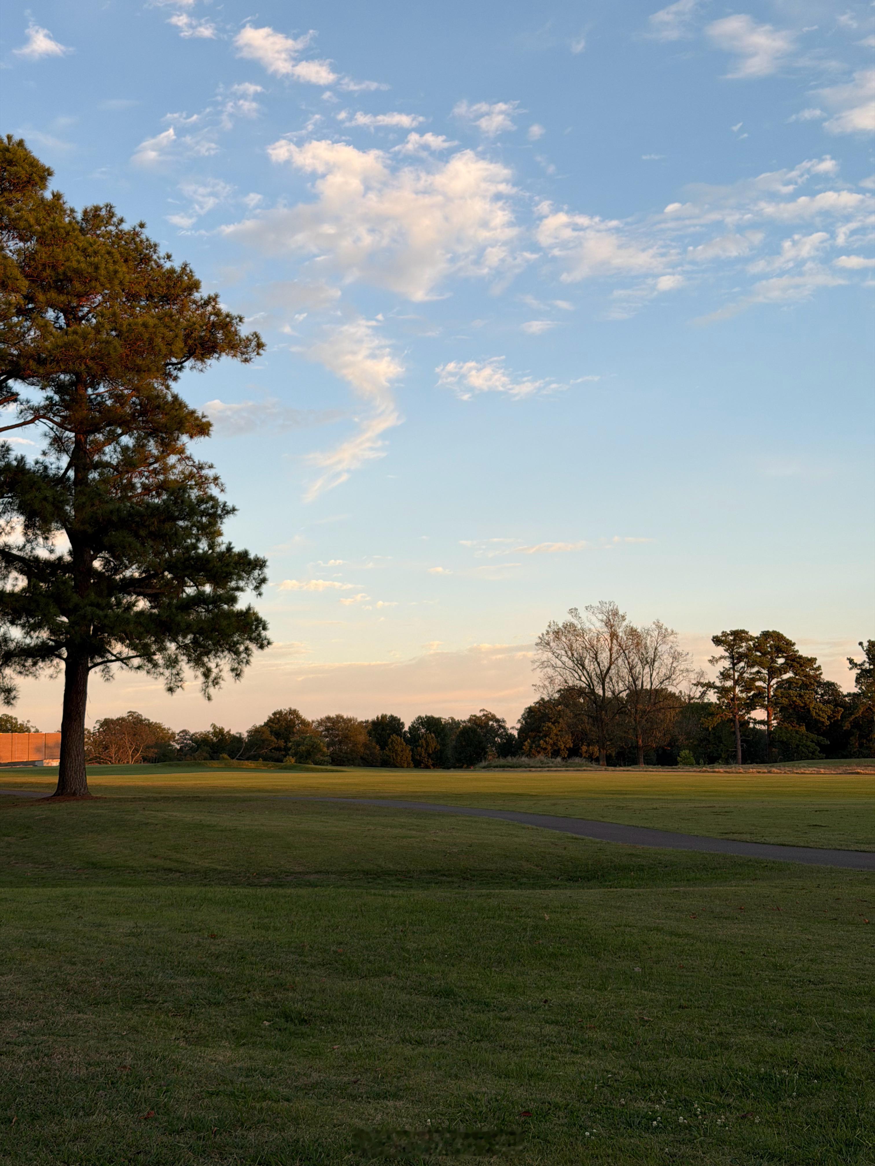过去四周对我来说就是从根本上认识到一个人能有多坏、道德底线能有多低的过程。和几位
