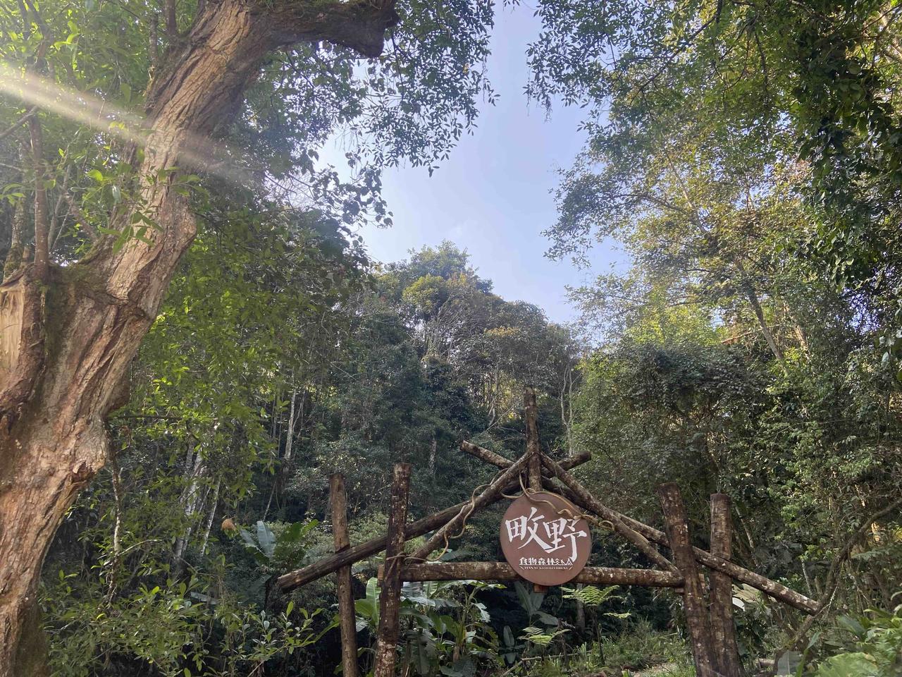 《山野记》

一个好兄弟，在那个山坡上反复行走
看着许多人来了，又匆匆离开
草木