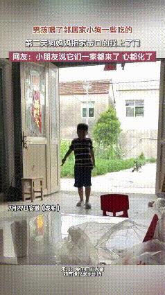 家人们谁懂啊！
 
小男孩就给小狗喂了一次吃的，第二天居然被狗妈妈带着全家“堵门