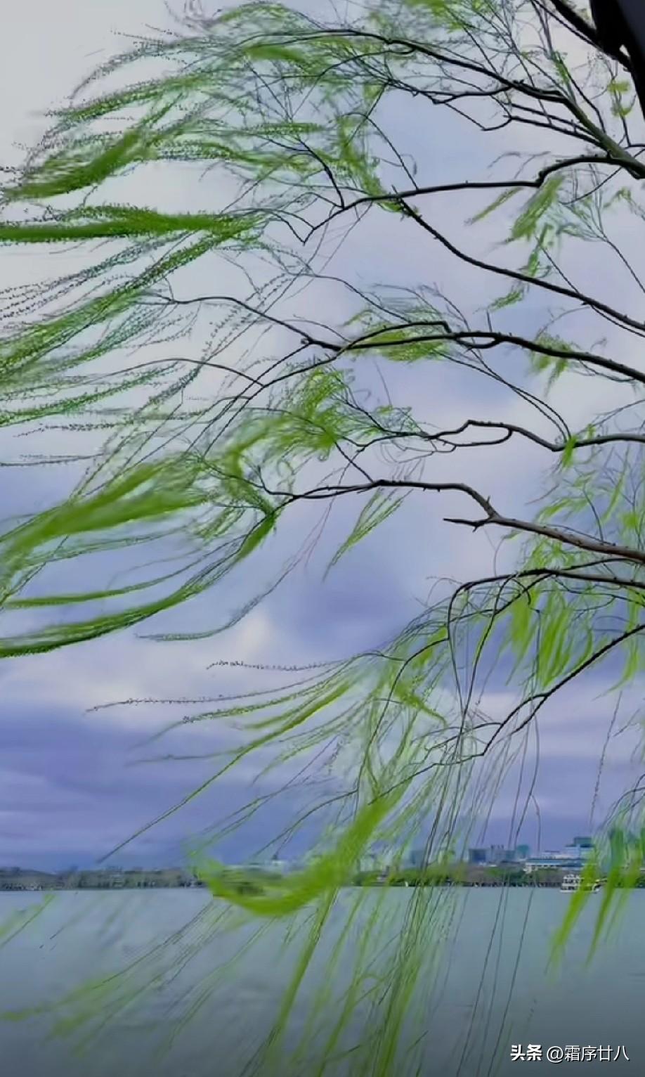 世间万事皆为修行，心怀无我之境，便少了诸多牵绊，自有安然顺遂。

人与事本无绝对