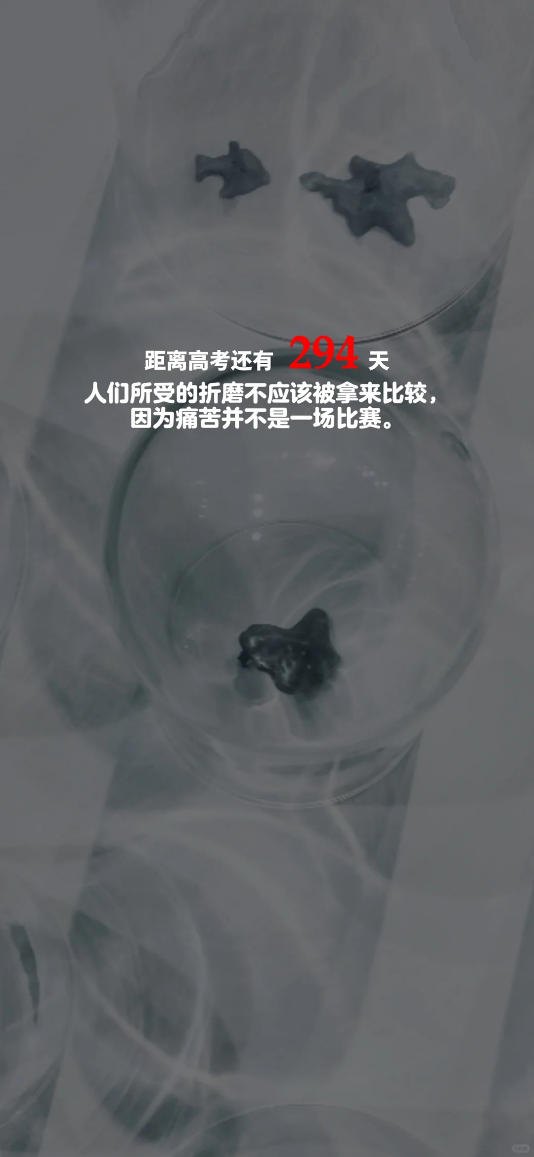 2025高考倒计时，每日更新。