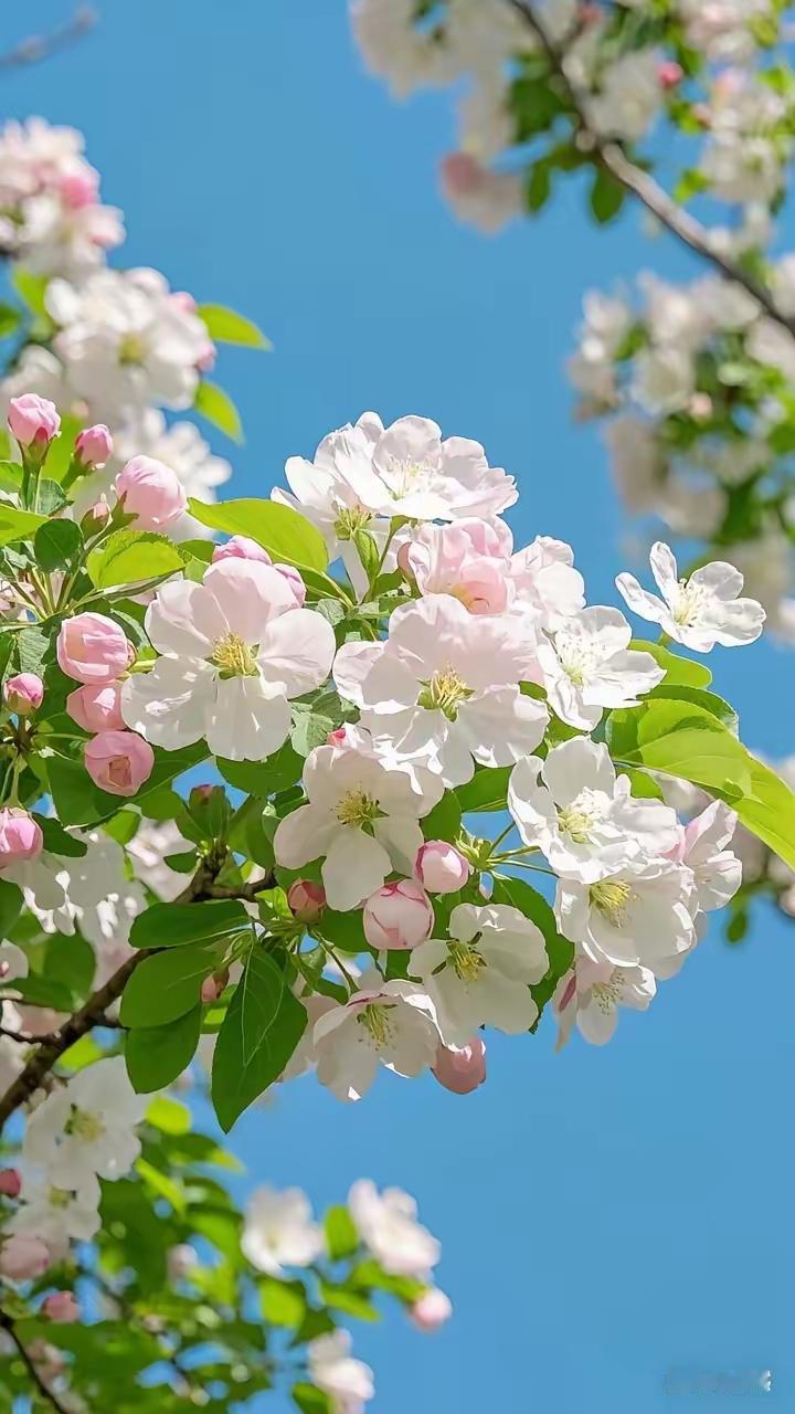 别再等了，心酸是妥协，趁年轻疯一把！
总说“等有钱再说”“等有空再说”？多少人被