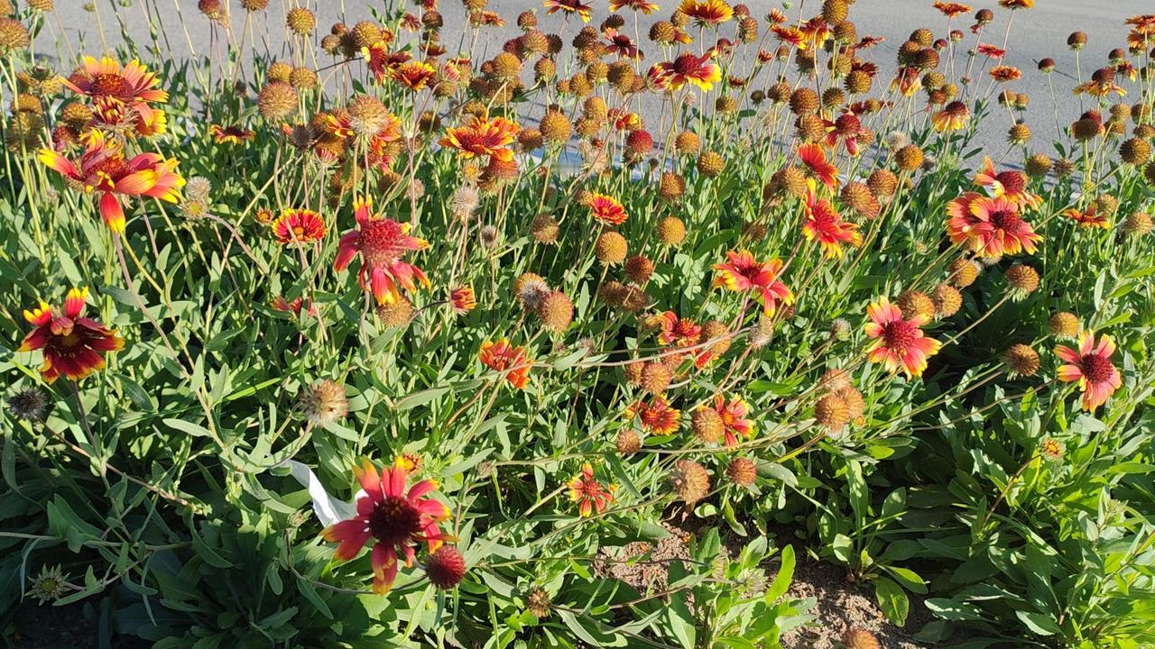 晒出你随手一拍的风景图