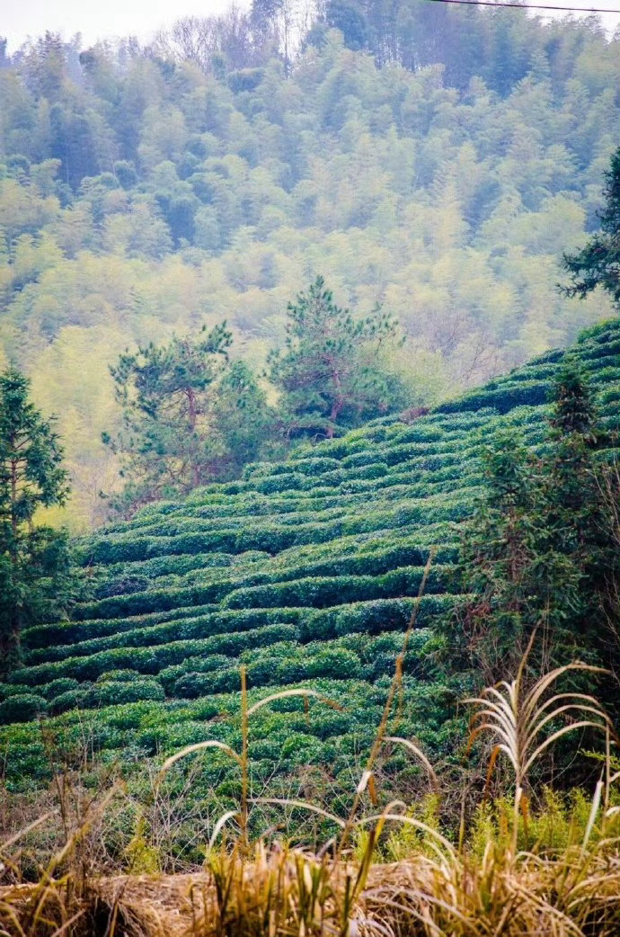 安徽·六安，大别山北麓的小村庄，岁月平淡，惊艳了时光。 ​​​