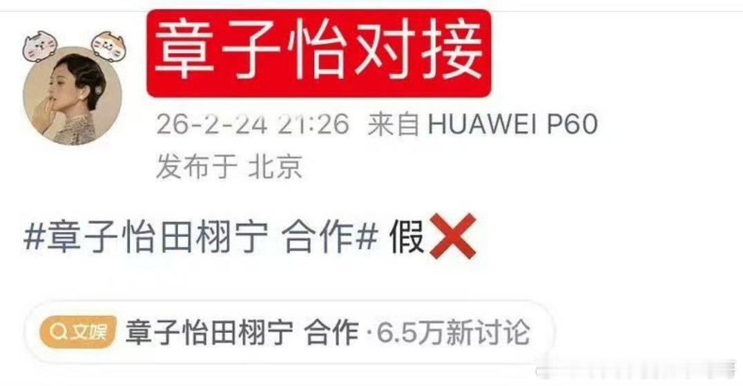 章子怡对接辟谣章子怡将和田栩宁合作电影 