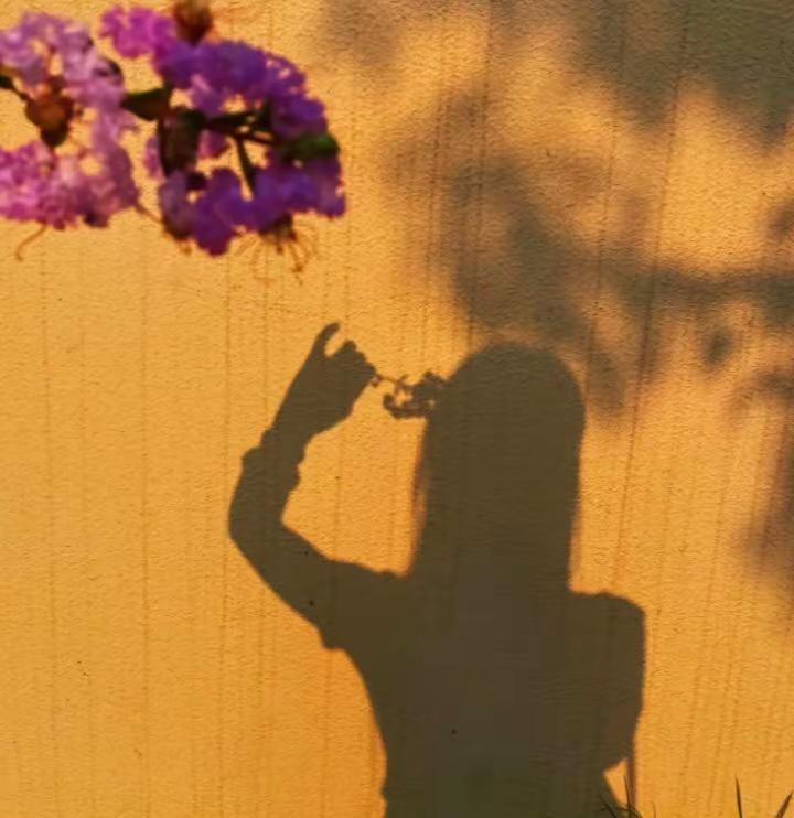总以为时间很慢，可是下一个秋天又来了，夏事未愿，那就祝我们好在秋天。立秋了 那就