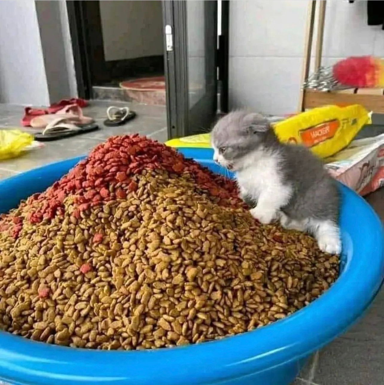 有种过年的氛围 ​​​