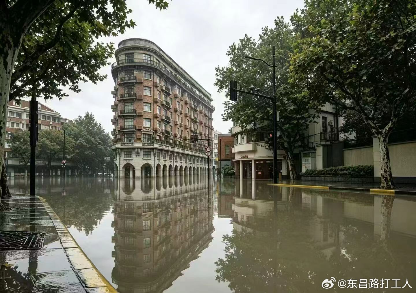 这么大吗 