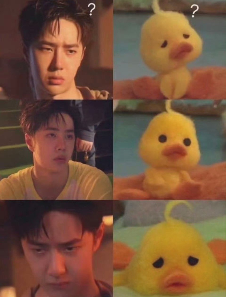 哈哈哈哈哈一模一样 ​​​