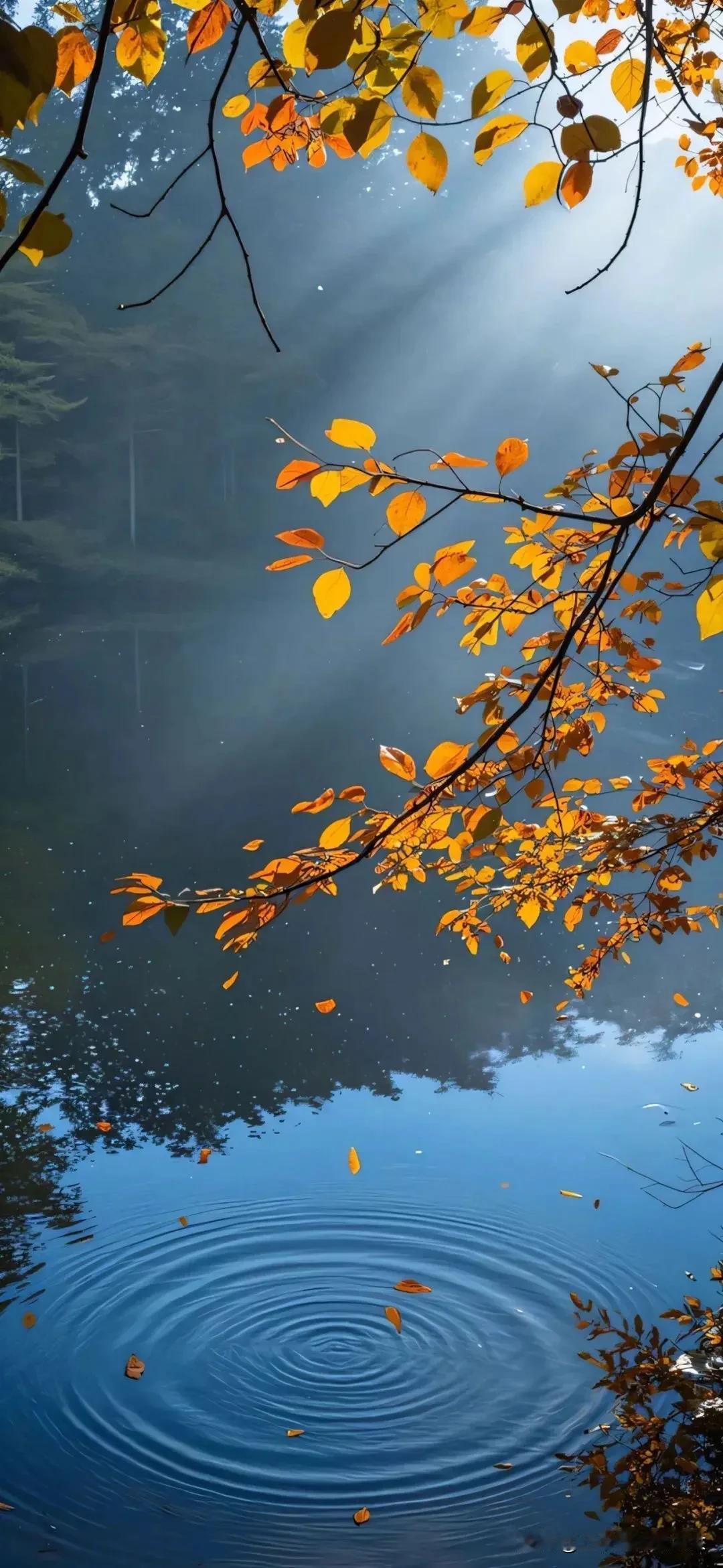 #秋日生活打卡季#
🍂𝙂𝙞𝙫𝙚 𝙮𝙤𝙪 𝙩𝙝𝙚 𝙗𝙚?