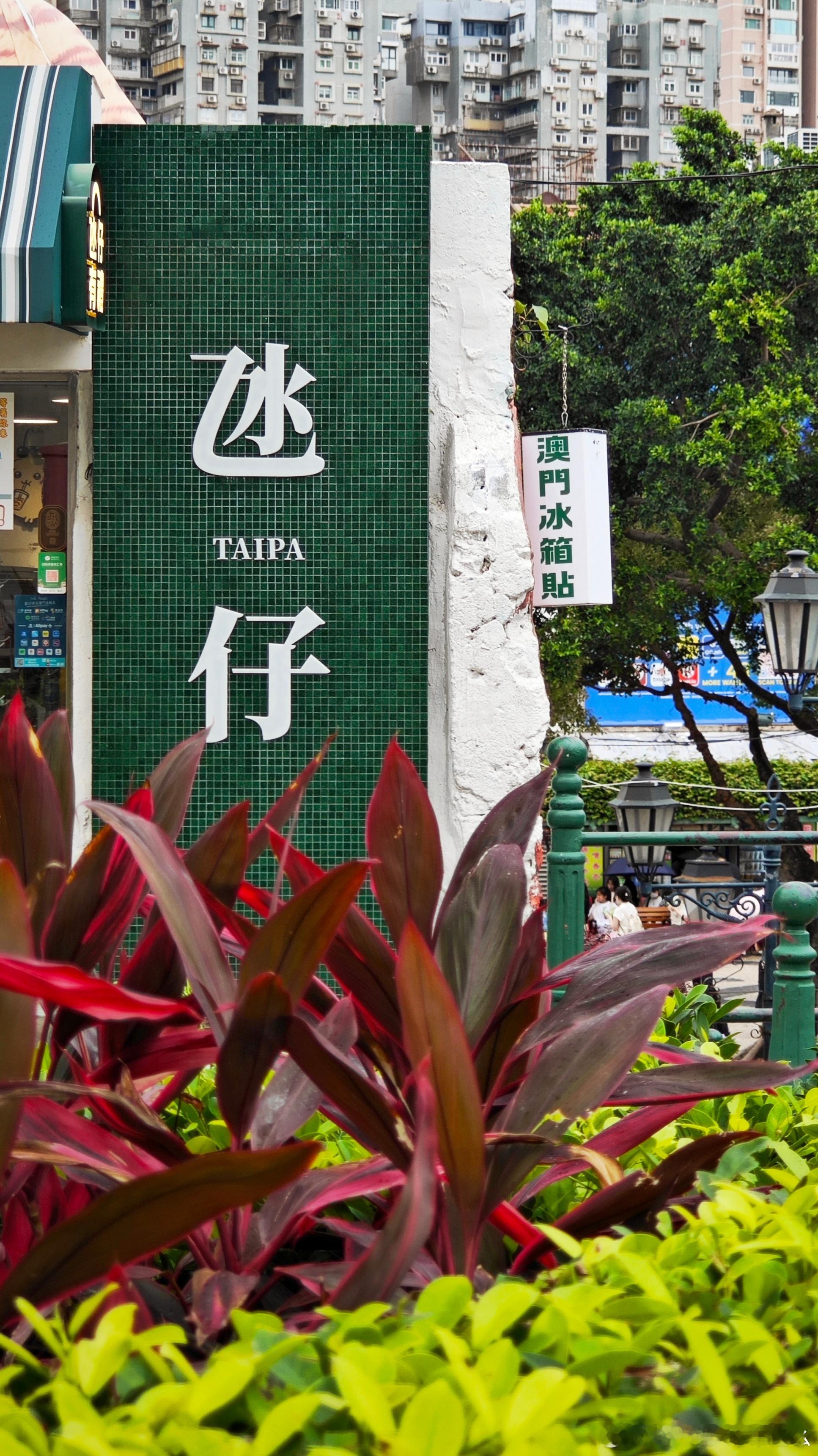 回沪，继续上班 澳门·嘉模圣母堂