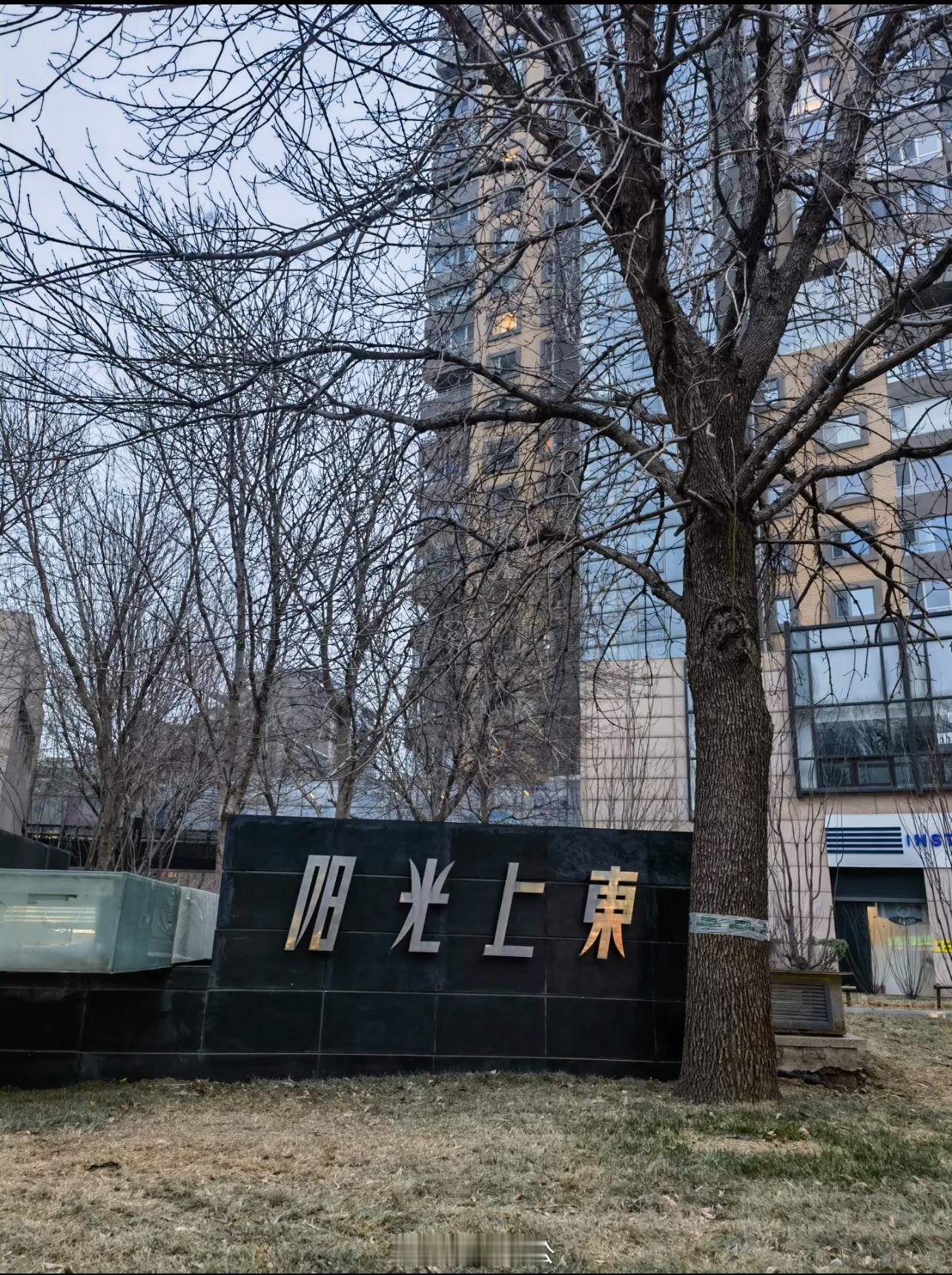 于朦胧事发小区……根据网上相关介绍……小区物业为第一太平戴维斯物业管理公司，物业