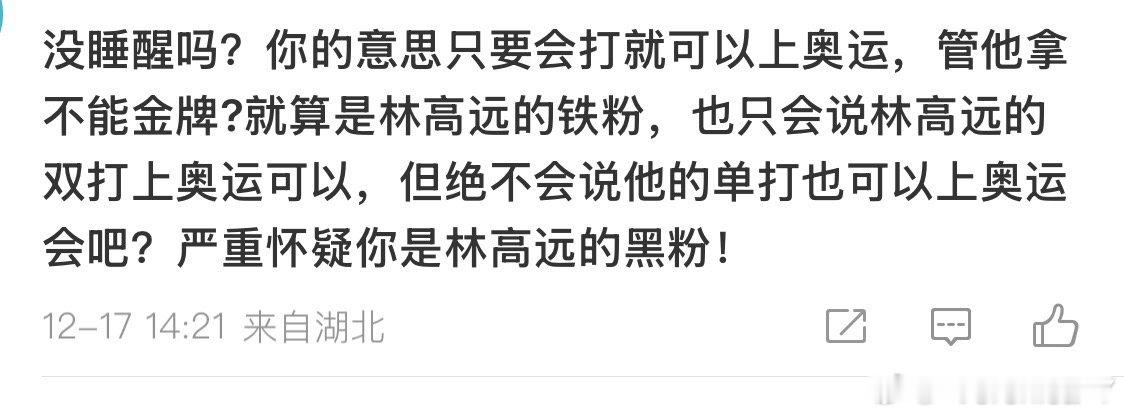 现在不能夸林高远双打好 一夸准有人应激（过去也不能夸）林高远单打2025年是滑坡