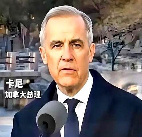 加拿大总理卡尼，亲手撕了剧本。前脚刚跟着美国，把中国电车的关税加到100%，后脚