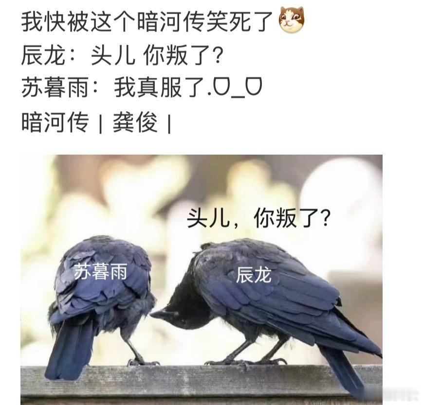暗河传台词尺度 我都快被暗河传里面的台词给圈粉住了，总是在严肃的时候稍微让大家伙