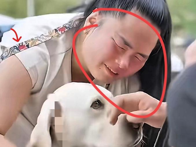 好消息！带主人爬泰山的导盲犬芬迪，终于回大连基地了！王女士抱着它喊“早点回来”，