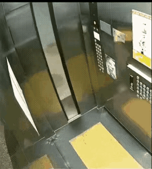 虽然长相还可以
但是却没有脑子
真是令人着急[捂脸]