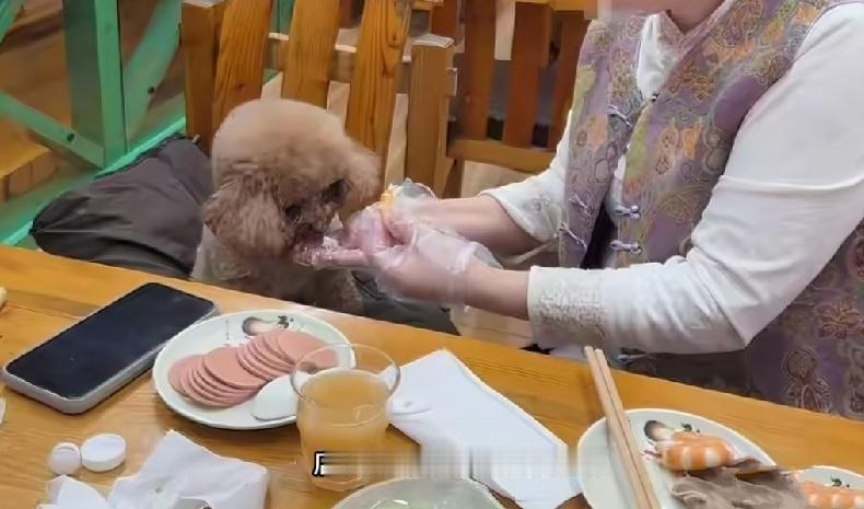 姐们儿带狗坐餐椅，店员说“又没上桌”，这饭还能吃吗？
谁能想到，现在去快餐店吃口