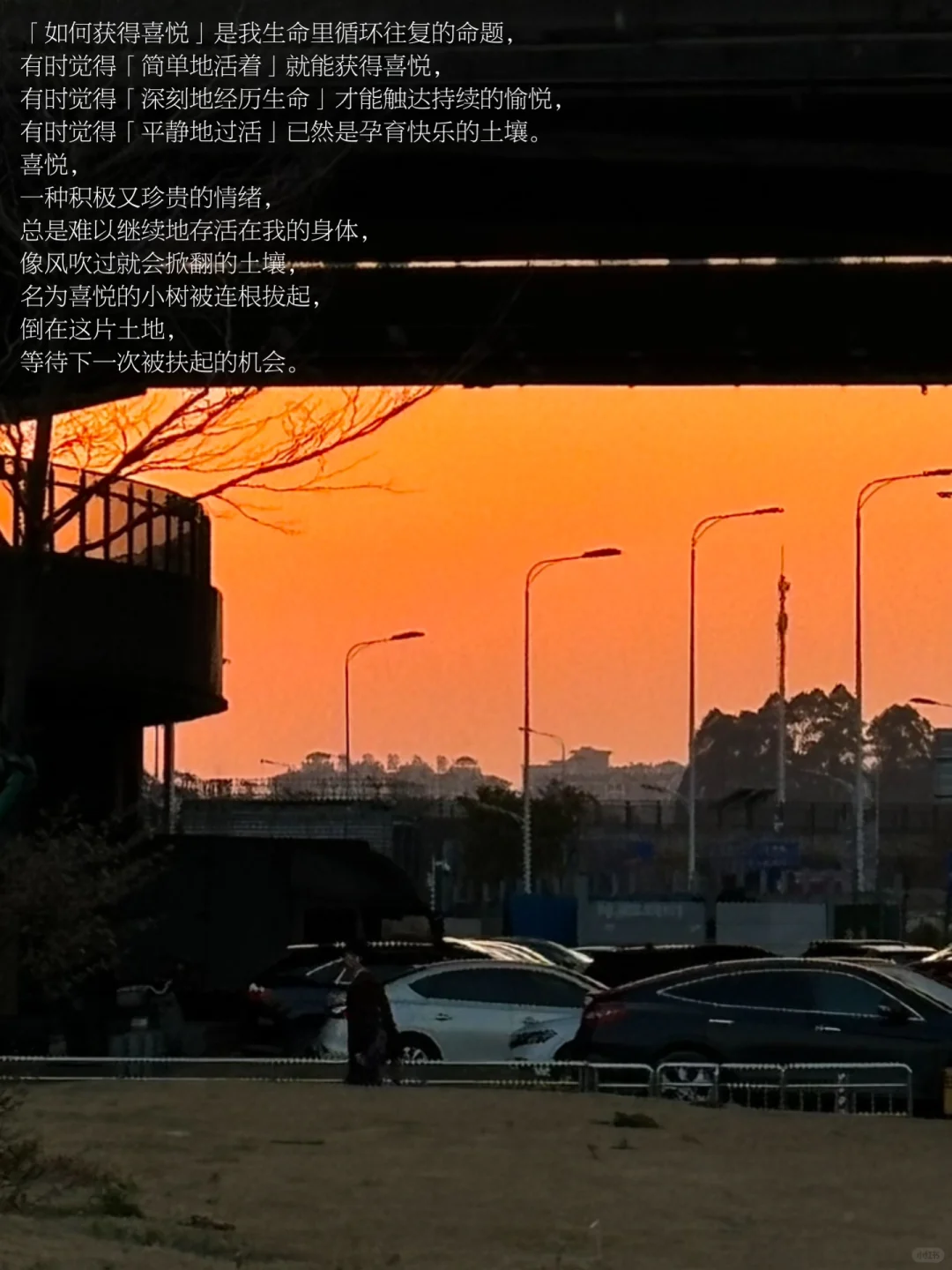 我在独自前行的路上舍弃了一部份的「我」。