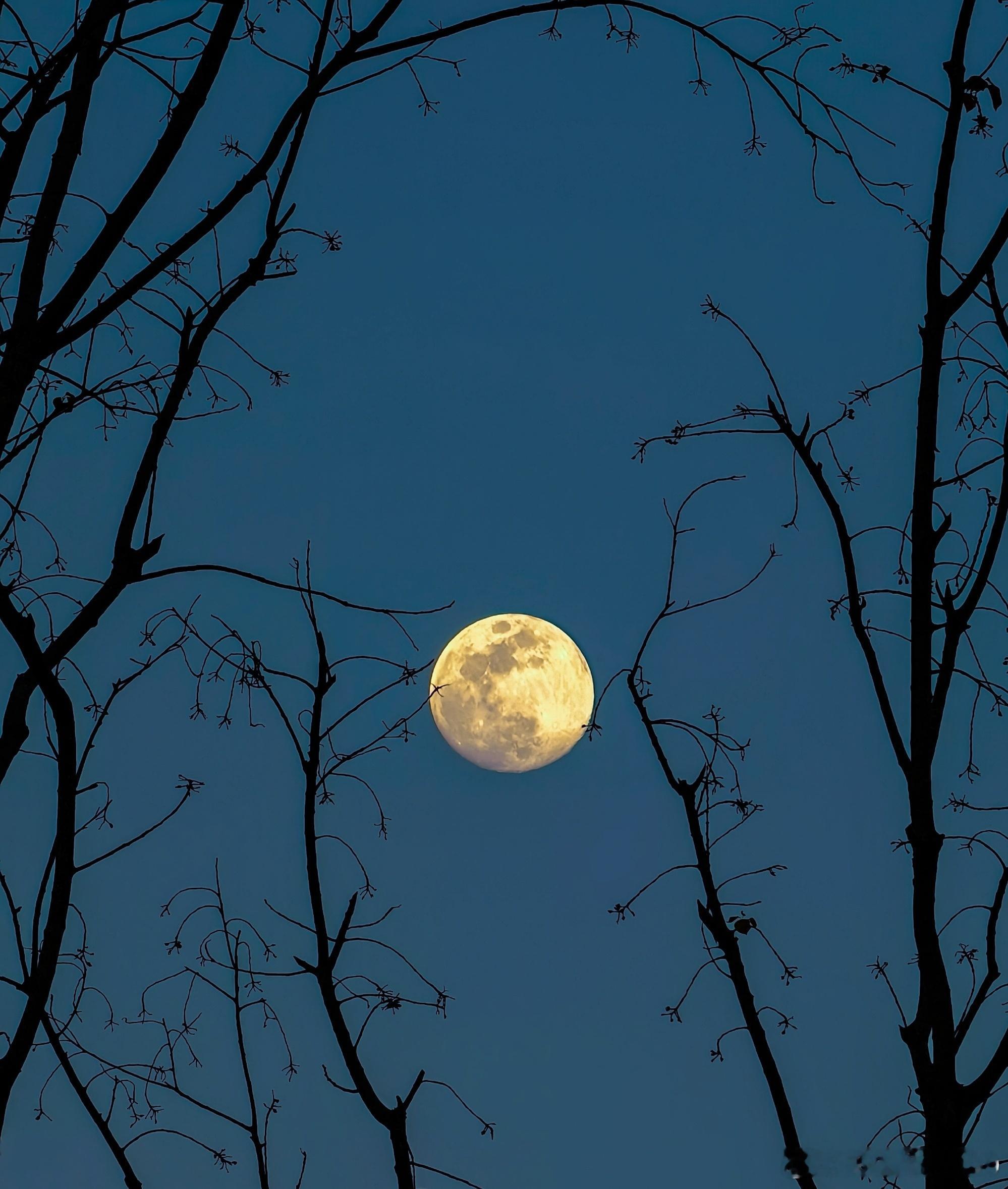 昆仑仙本—道德经第十三章宠辱若惊，贵大患身；贵以天下，可寄天下。爱以天下，可托天