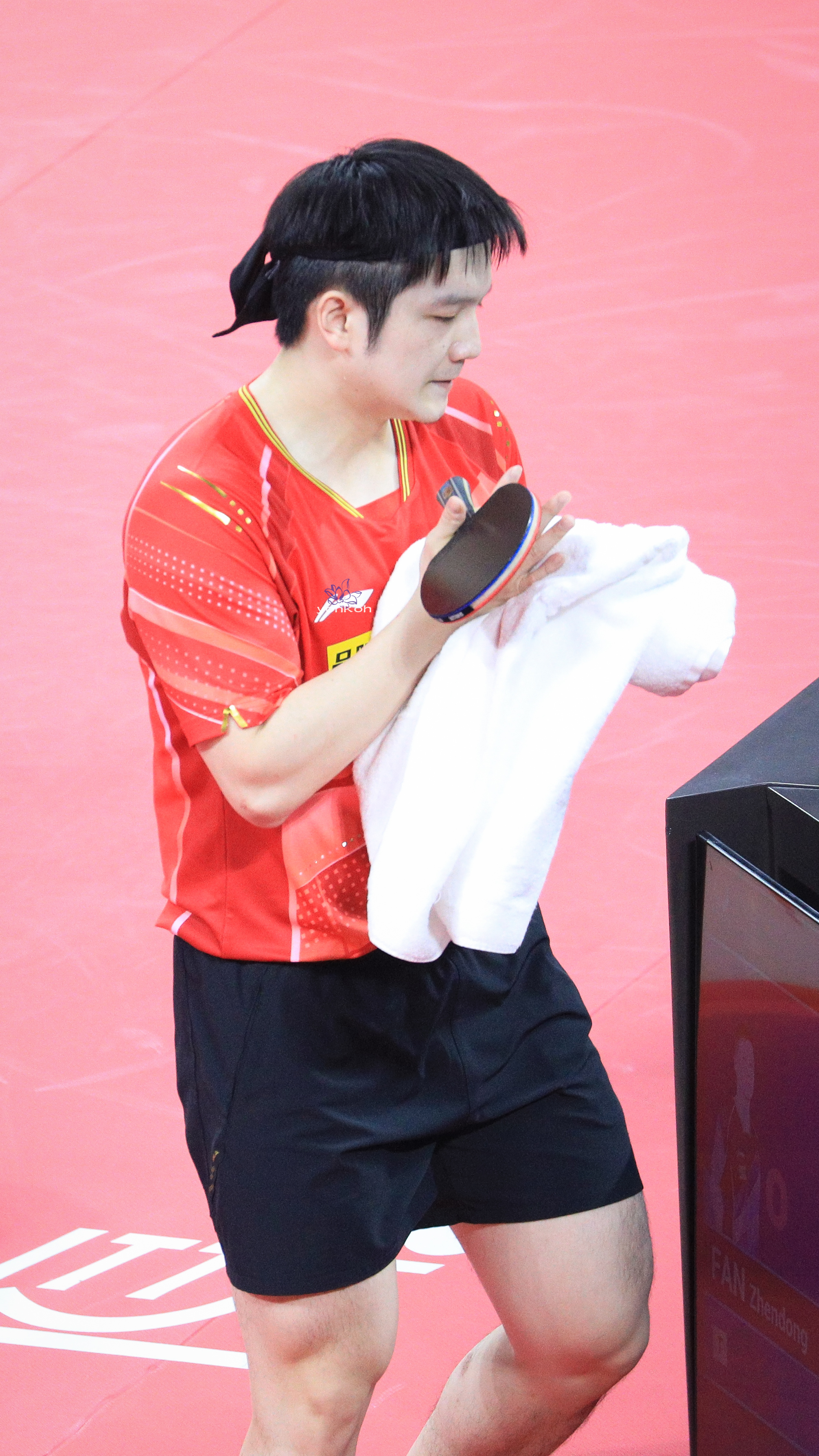 樊振东 你拥有每一种自由