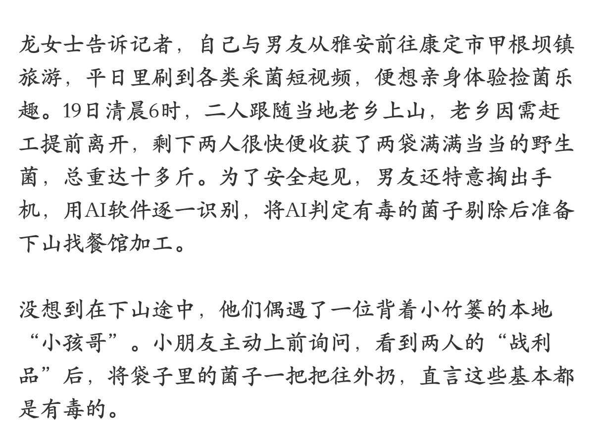 情侣采10斤菌子被本地小孩扔到2斤找的牛肝菌还挺多的👀信豆包严选还不如信小孩哥