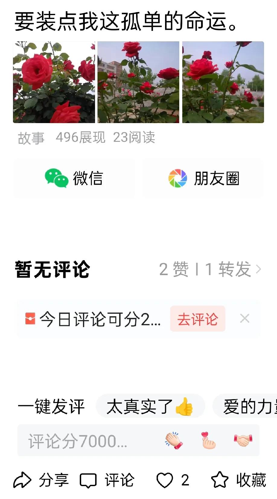 头条怪事，真有点让人搞不懂是什么原因。
昨天写了一条微头条，讲了一些与初恋女生这
