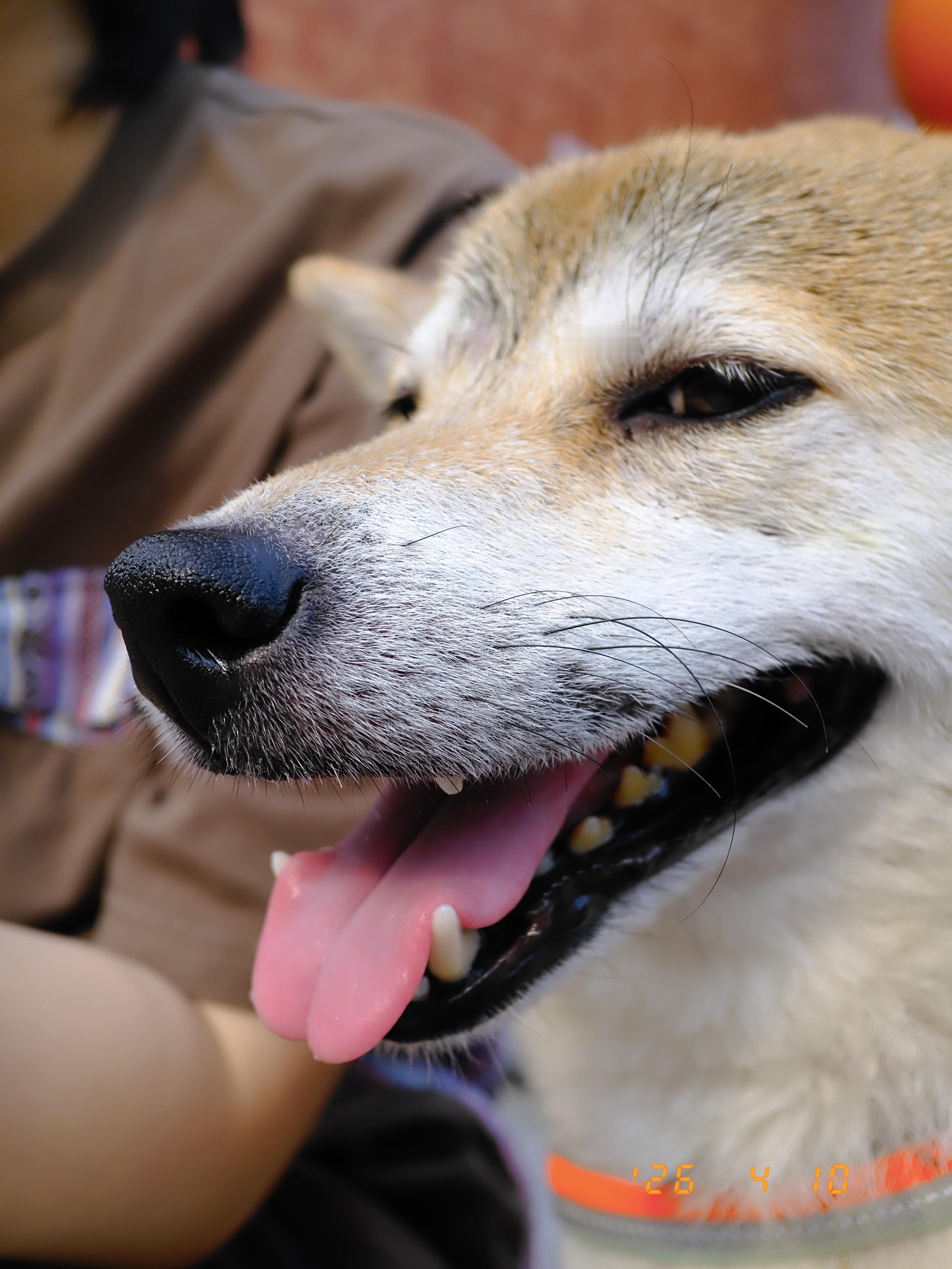 今晚又要出发，这个月有点像拉练了r5每日一记