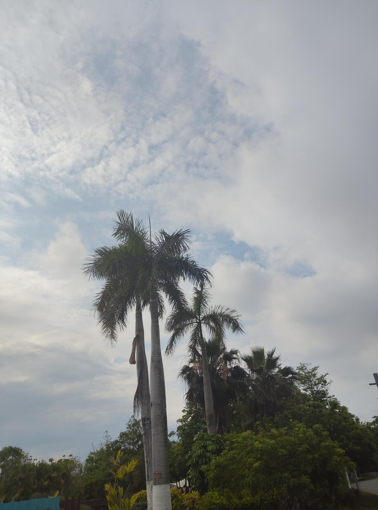 可以分享一张你拍的天空美照吗绝美随手拍天空 天空风景美照 随拍天空风景 天空图片