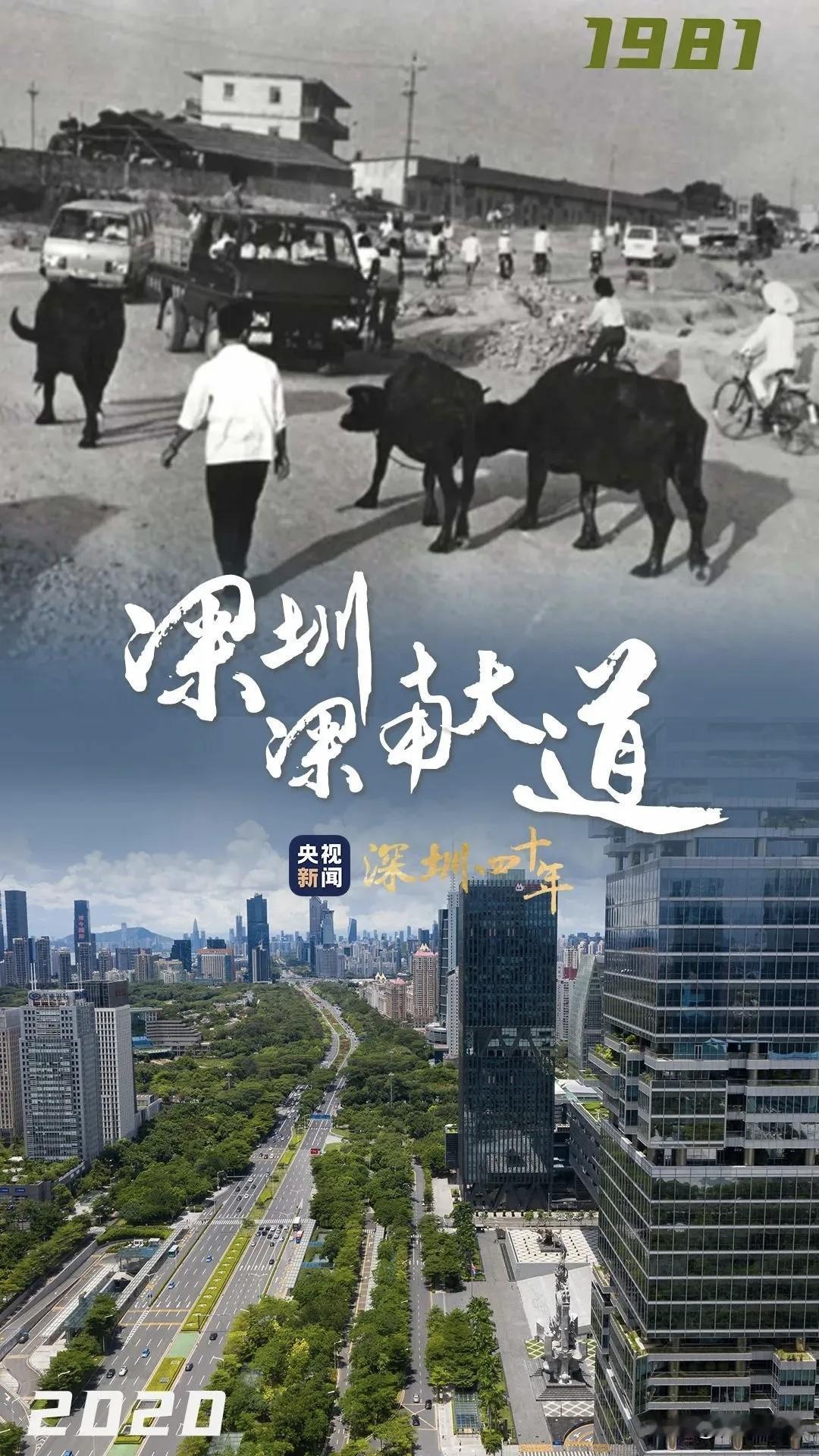 深圳40年变迁
堪称超燃逆袭史
40年前
深圳只是小渔村
破旧房屋林立
泥泞小道