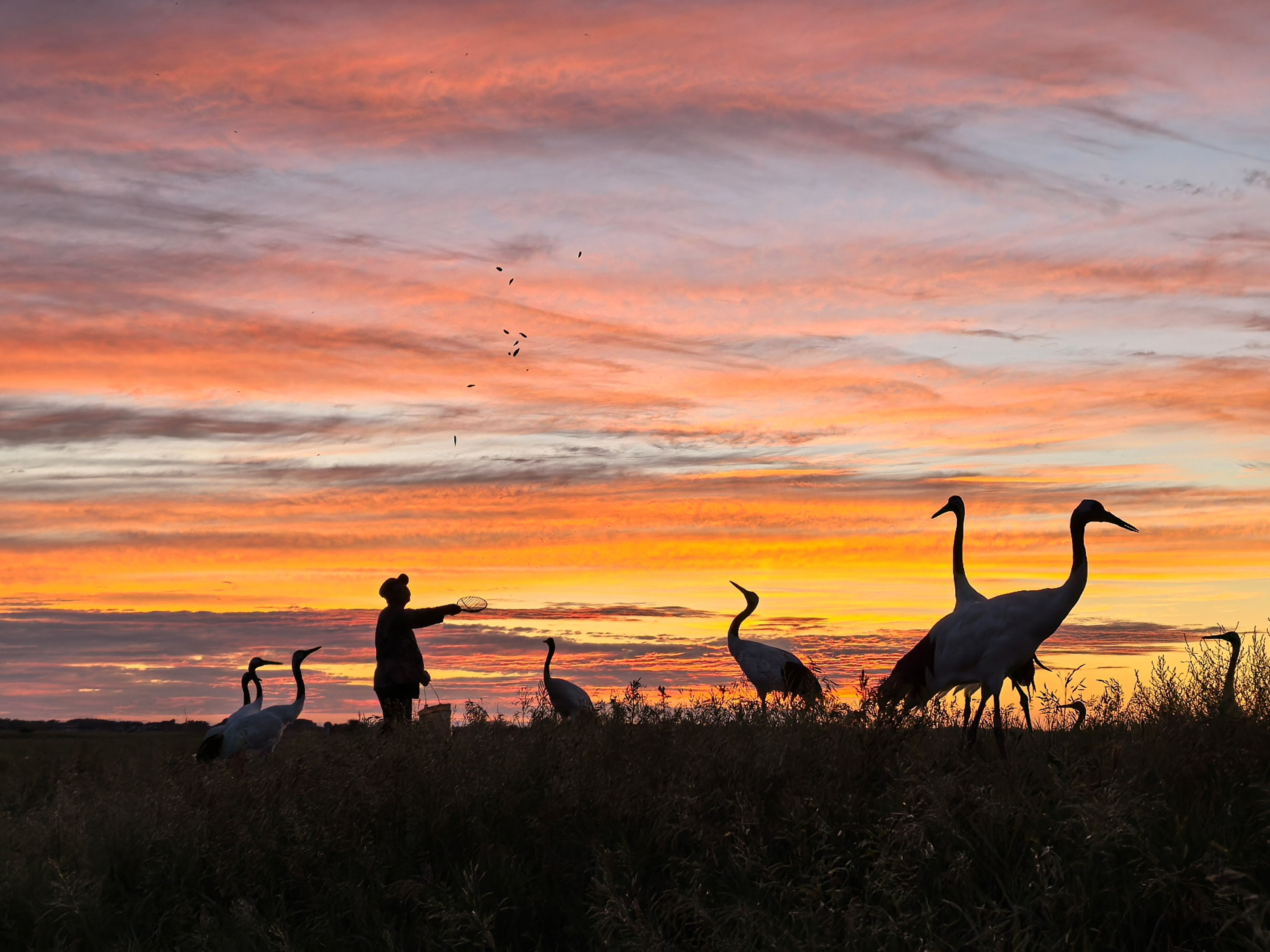 2024华为影像大赛颁奖典礼，不仅是获奖者的盛宴，更是我们每个人的视觉盛宴。每一