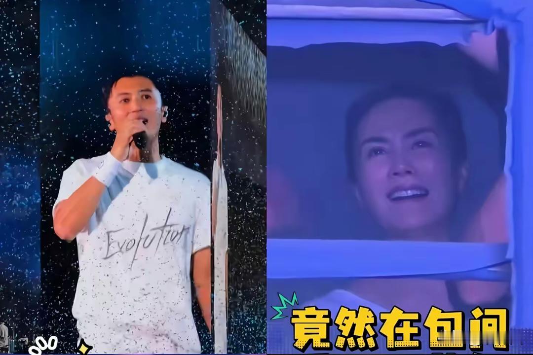 王菲一身白T恤，素颜丸子头 ，低调现身谢霆锋演唱会。两人世纪复合已经相伴12年，