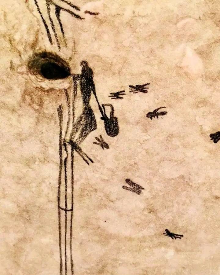 蜜蜂采集的最古老记录可以追溯到8000-10000年前。有一幅洞穴壁画描绘了一个...