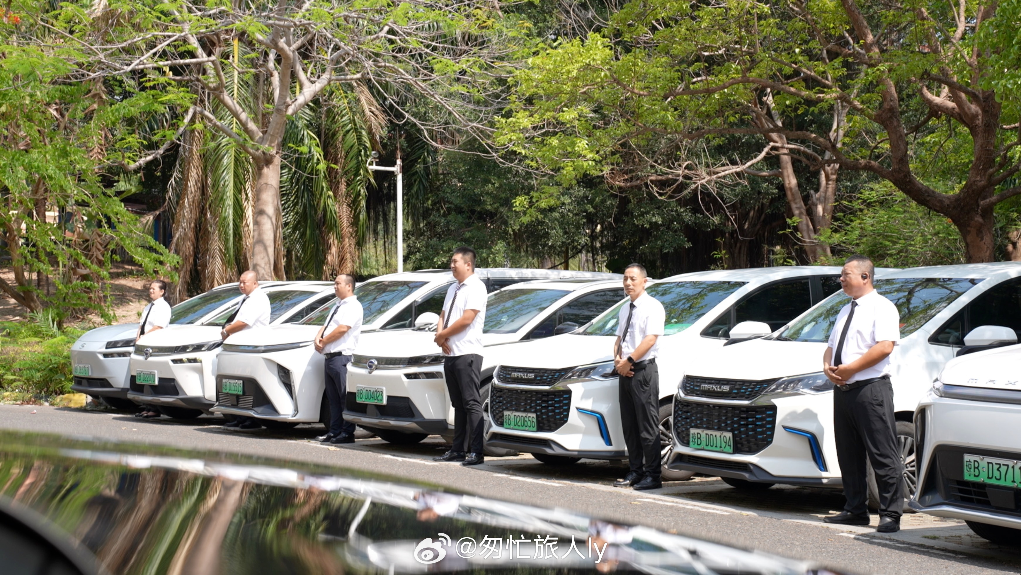 近期，三亚遭受超强台风“剑鱼”正面冲击，全市基础设施遭受重创。灾情发生后，岛内外