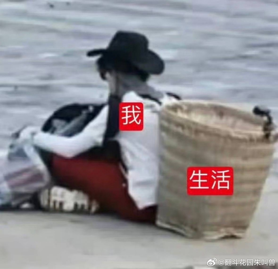苏新皓一期出了好多表情包苏新皓想看粉丝截的表情包 苏新皓看节目的时候估计也在笑自