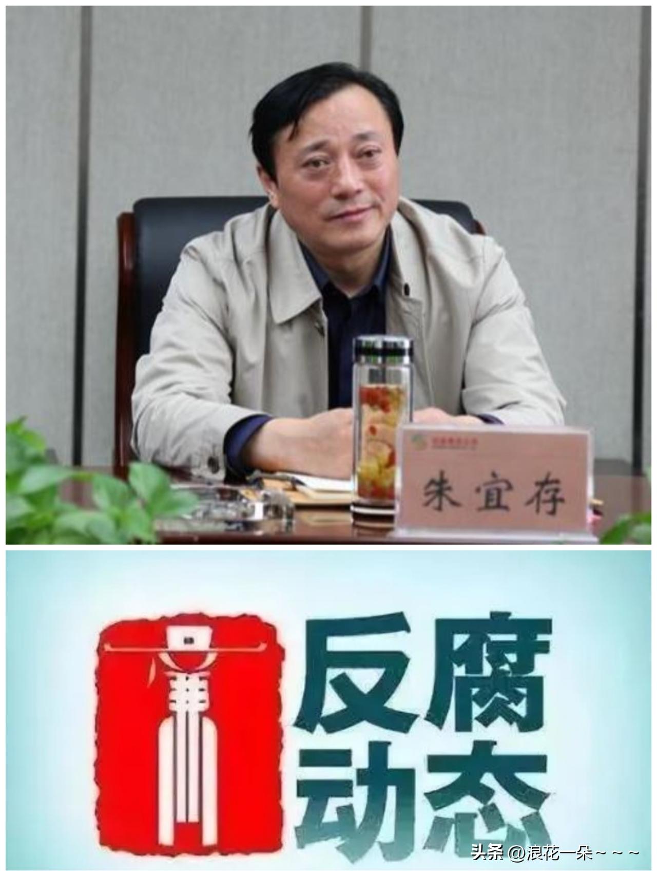 5月28日，
反腐消息❗️就在刚刚，“朱宜存”被查，看了一下他的履历，他是安徽舒