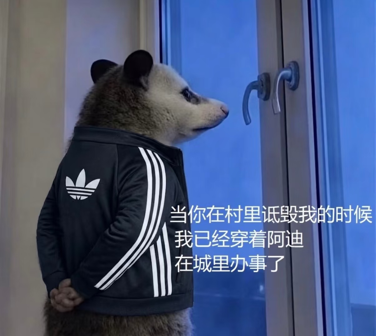 这个最近真是有点火 阿迪达斯进城办事