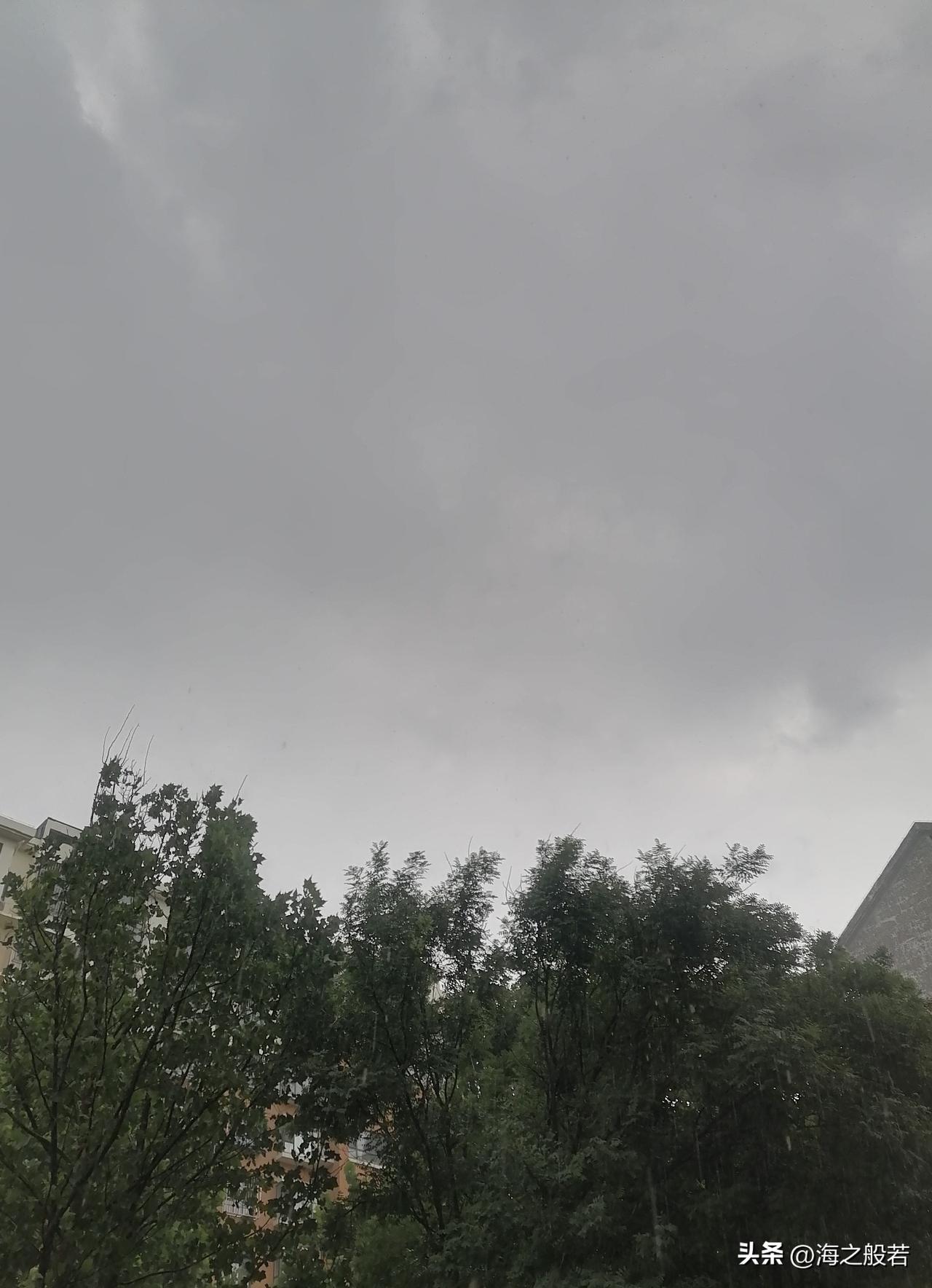 雷车动地电火明，急雨遂作盆盎倾。

窗外巨大的雷雨声让我从沉睡中惊醒，这雨比前几