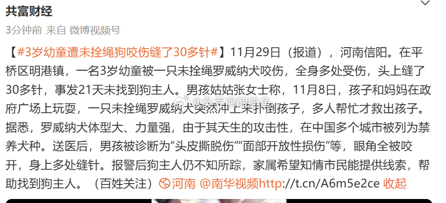 3岁幼童遭未拴绳狗咬伤缝了30多针  如果找不到狗主人，会不会有组织和个体帮助这