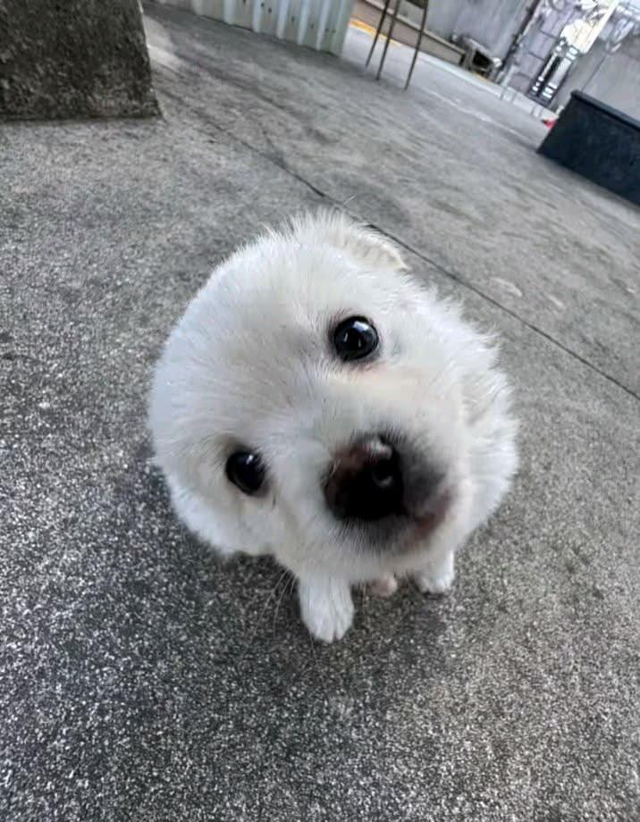 人 早上好 