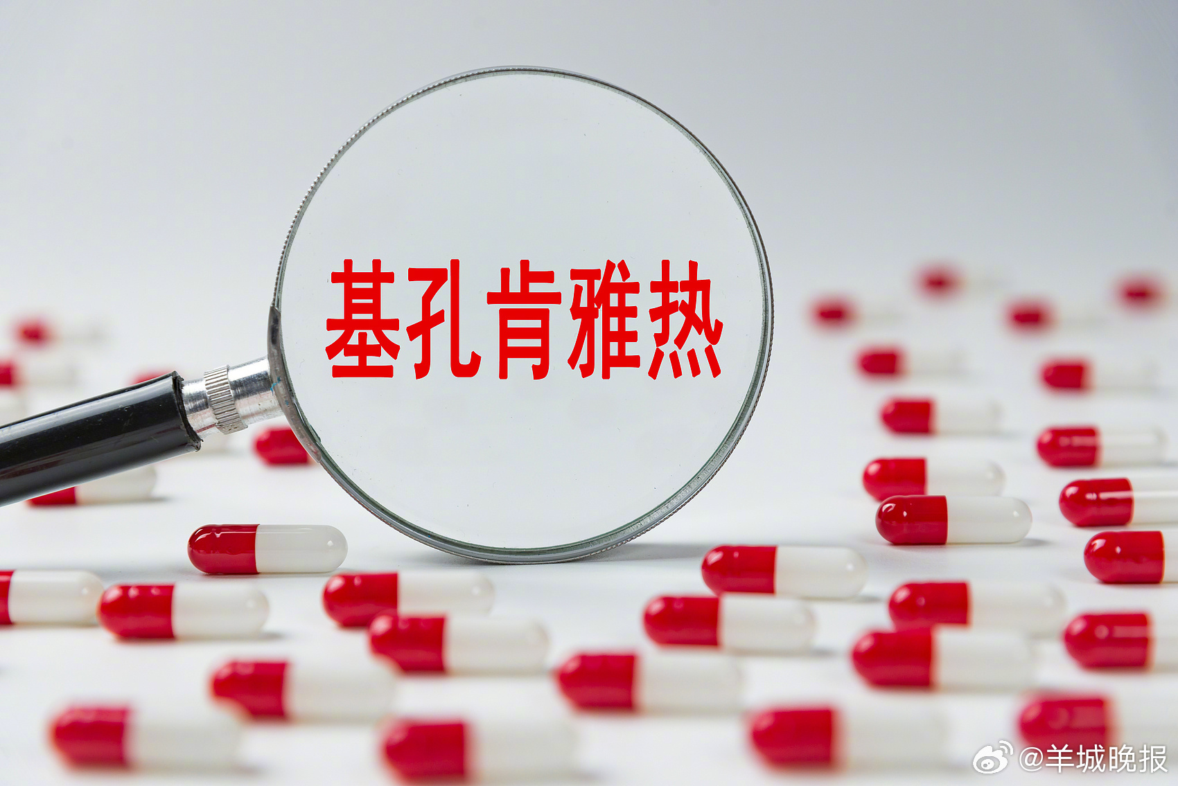 【过去一周广东新增报告1387例基孔肯雅热本地病例】8月10日，广东省疾控局通报
