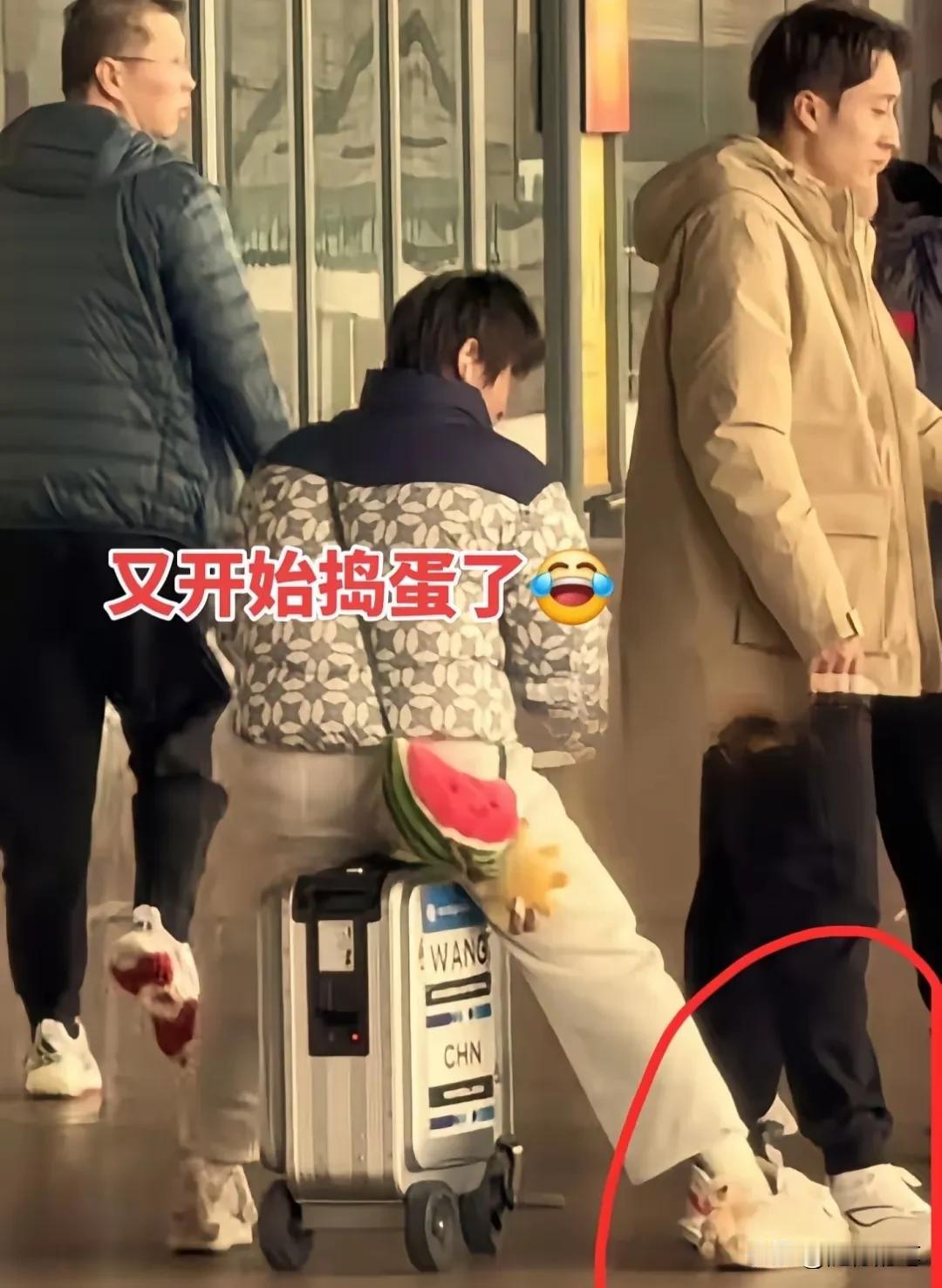 全红婵真的是闲不住的人，没事也要找点乐子。

出席完上海的活动，全红婵和师兄练俊