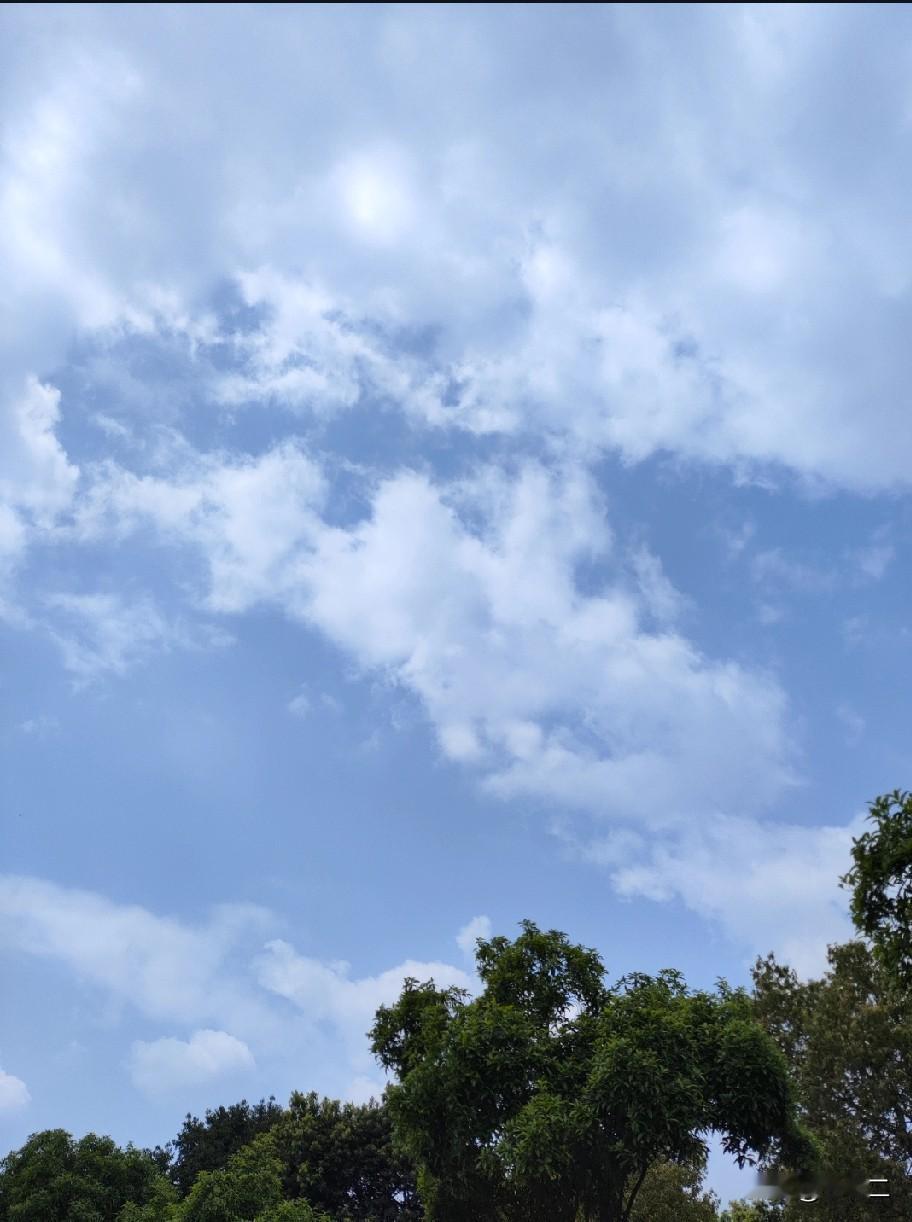 今日的天空，
着实令人心旷神怡！

抬眸望去，
满眼皆是广袤的湛蓝，
轻柔的云朵