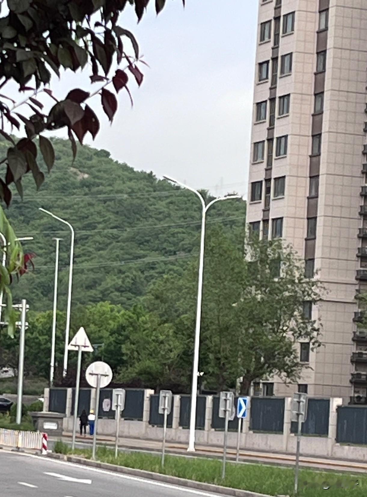 大早晨的，不要再让孩子和妈妈怒吼撕扯了！

今天早上，女儿学校开运动会，要求7点