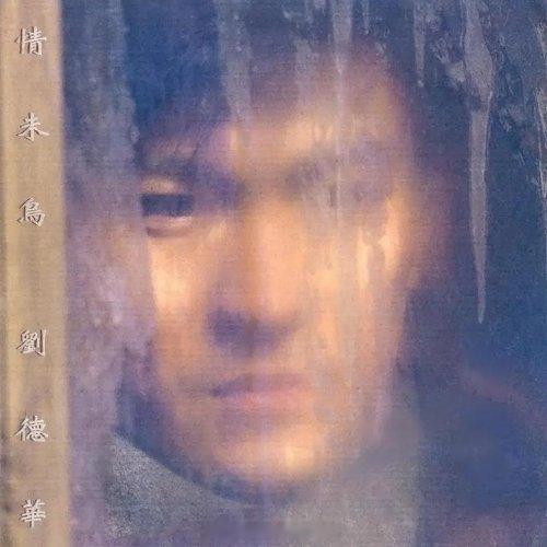 这首歌是刘德华的95年的经典之作，唱出了"失去后才懂得珍惜"的普遍情感。歌词里"