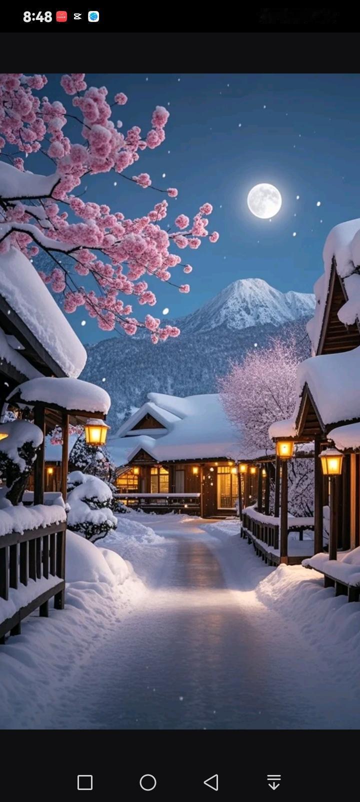 雪落满了日式木屋的檐角，暖黄灯光从窗棂里漫出来，将积雪晕出温柔的金边。粉梅在寒夜