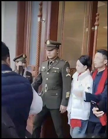 灵感来自《沉默的荣耀》
不得不说，人家还是挺会抓热度的。
网红能红没刷子抹蘸料可