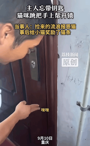太有灵性了！重庆，主人出门忘带钥匙了，然后试着叫屋内猫咪帮忙给开门。其实也并不知